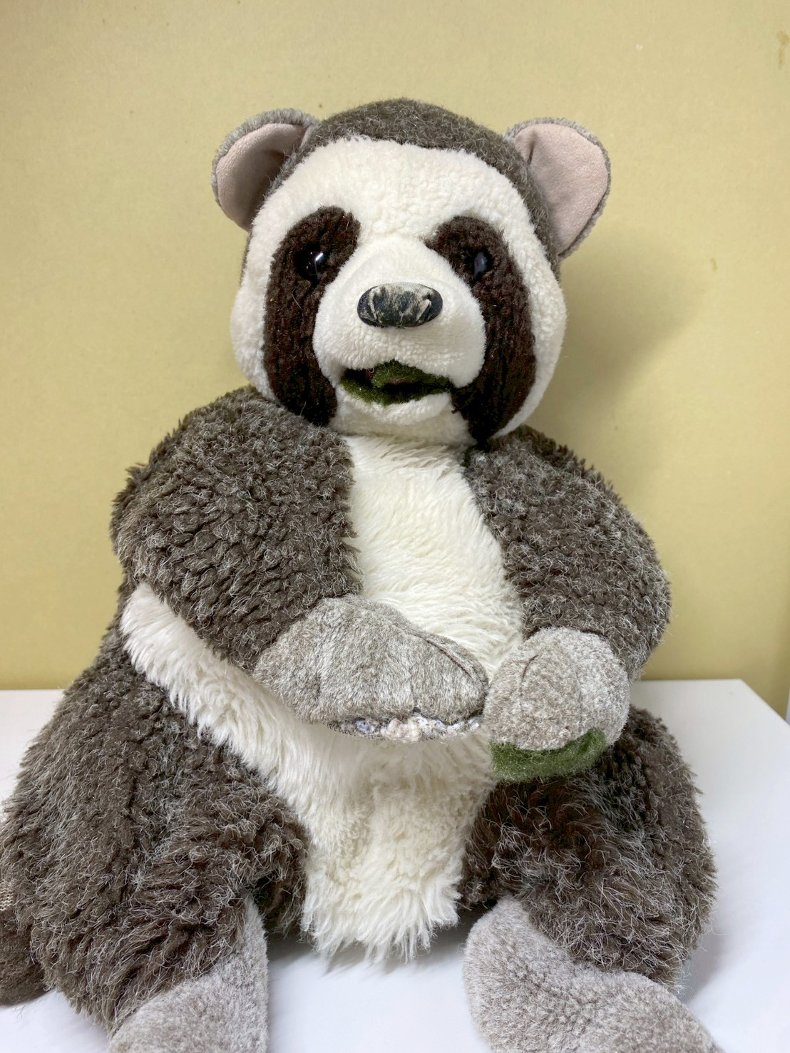 ラッキー兄弟さんの写真1