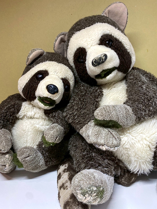 ラッキー兄弟さんサムネイル